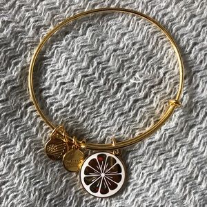 Alex and ani Bracelet